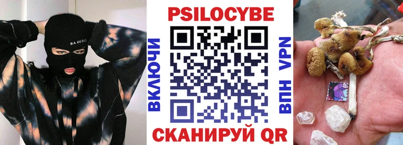 Галлюциногенные грибы Psilocybine cubensis  Купить закладки  Кирсанов 
